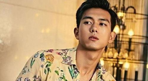 爱豆吃瓜娱乐圈李现,娱乐圈吃瓜达人，揭秘爱豆背后的故事