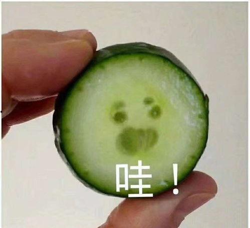 吃瓜表情包怎么回复女生微信