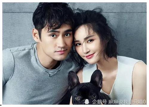 娱乐圈吃瓜爆料余生